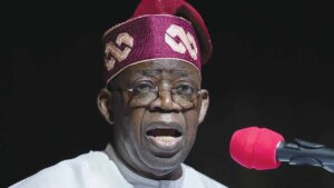 Nigeria's power sector is stuck in a vicious cycle of underperformance - laments Tinubu